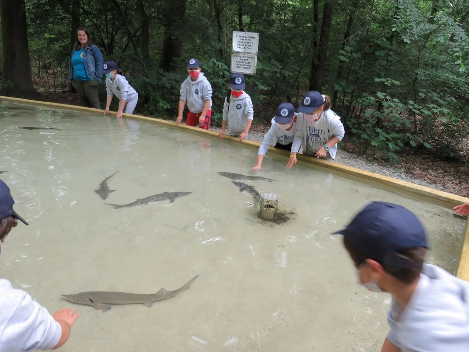 31 maggio, uscita classi II: Parco ittico, Zelo Buon Persico: Tra acqua e colori, un fiume di emozioni