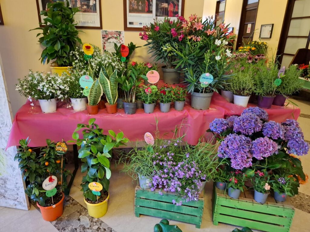 FESTA DEI FIORI