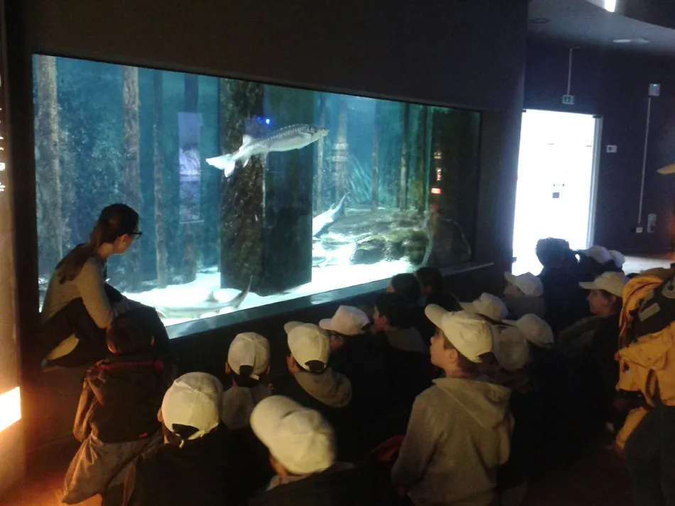 27 marzo: visita all’Acquario civico