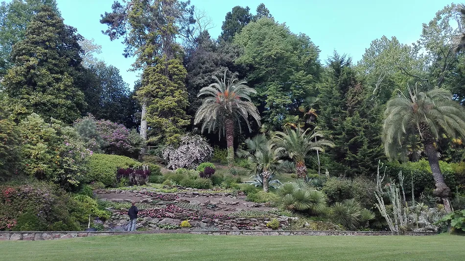 Uscita didattica del giorno 2 maggio 2017 della scuola secondaria all’orto botanico di  Villa Carlotta