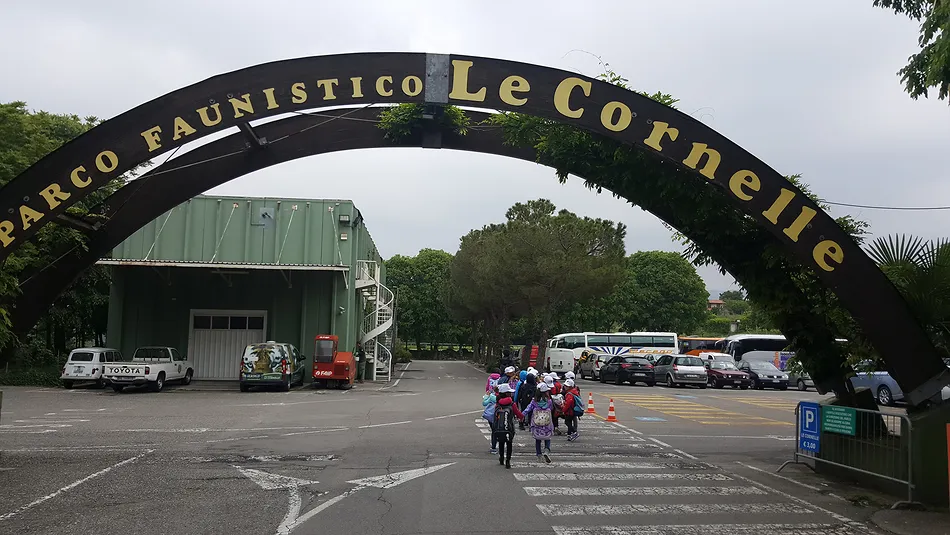 Al parco delle Cornelle: 11 maggio 2017, classi IA-B Primaria