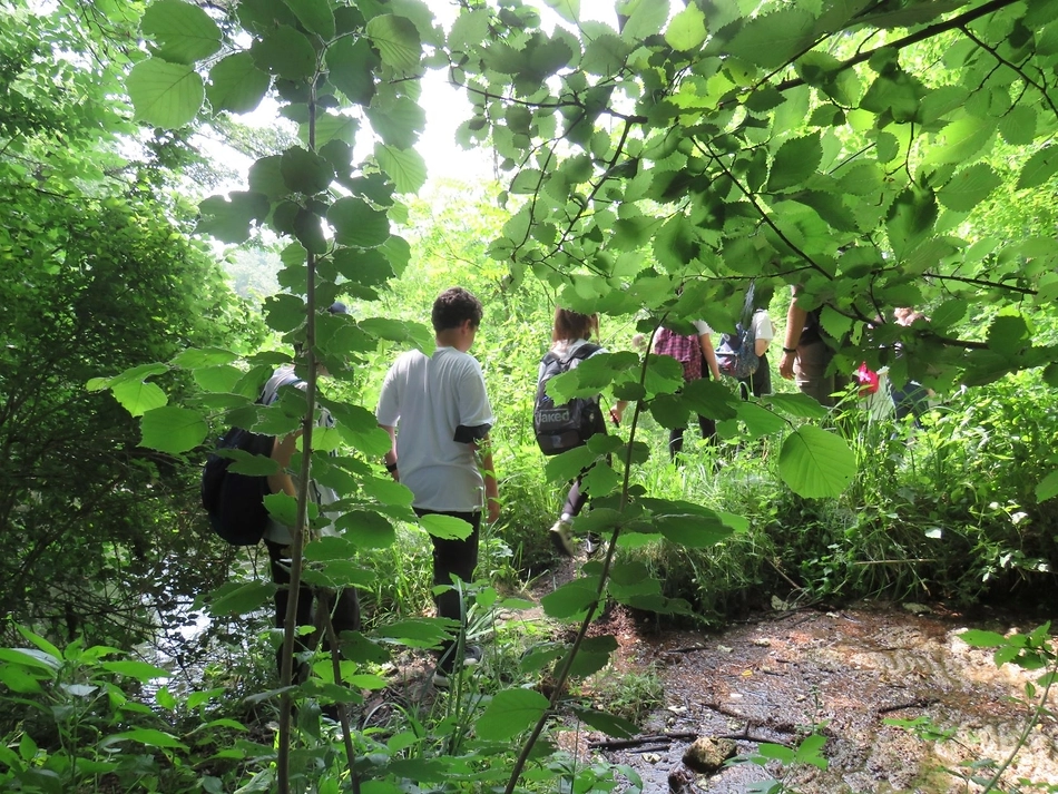 27 maggio, classi I e II, una giornata al Parco naturale del Ticino