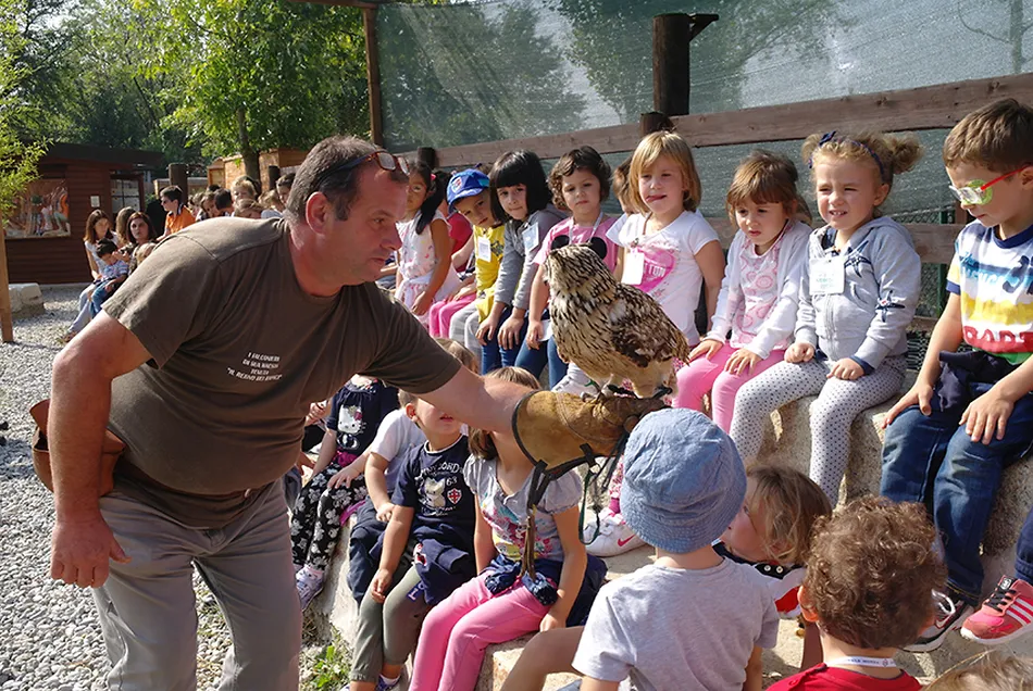 26 settembre, i falconieri di sua maestà